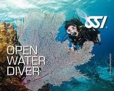Curso Open Water Diver: Tu Pasaporte al Océano Comienza Aquí